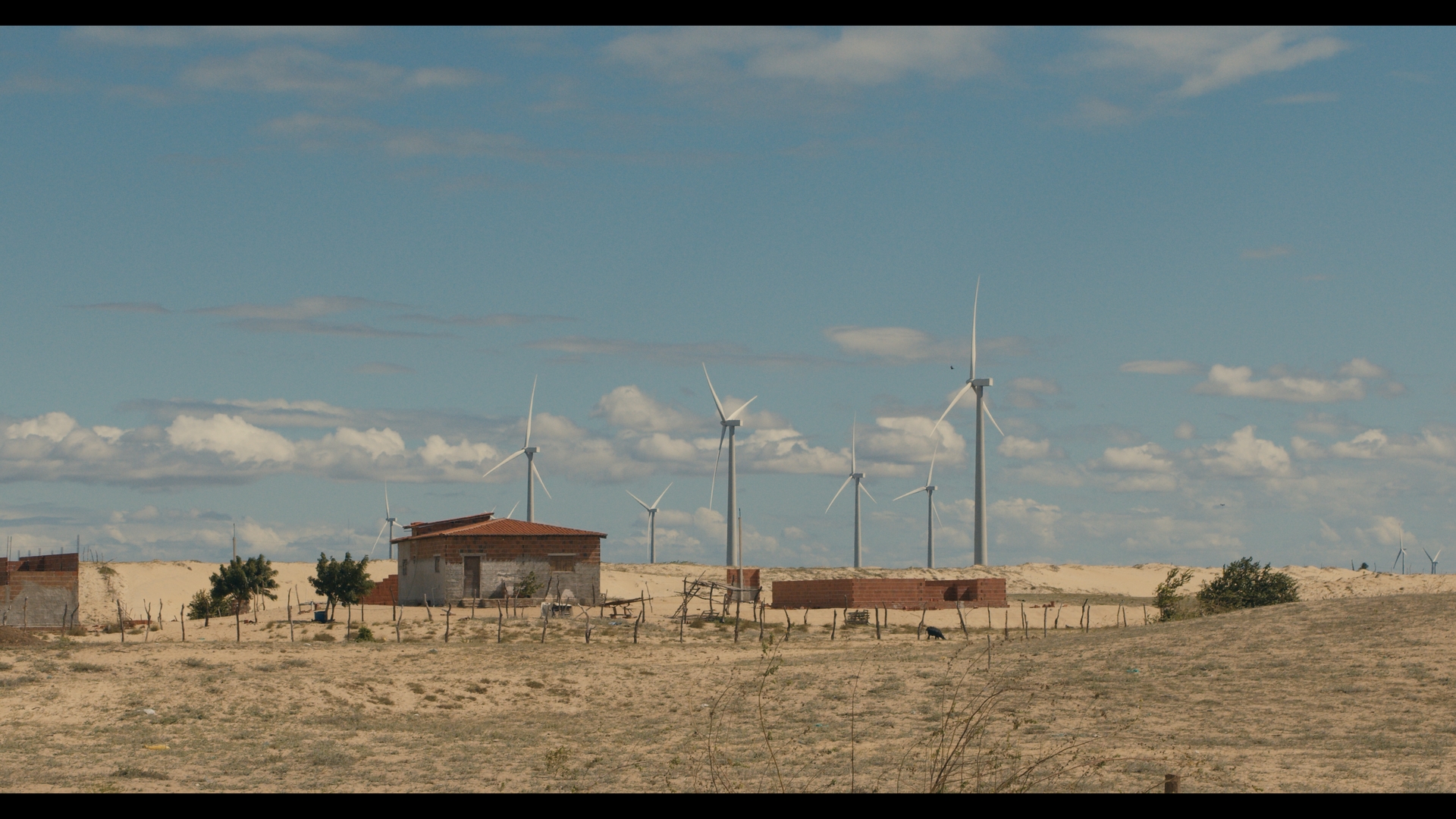 A wind farm sits on the arid landscape of Rio Grande do Norte. According to Gustavo Freire Barbosa, a lawyer specializing in constitutional law, it was built in contravention of the Indigenous and Tribal Peoples Convention, 1989 (ILO 169), which Brazil ratified in 2002.