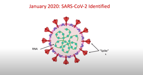 Key Quotes Understanding How Covid 19 Vaccines Work International Center For Journalists
