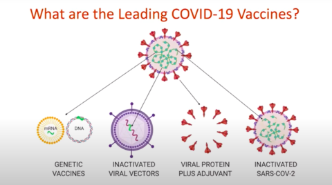 Different types of covid vaccines