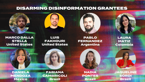 Graphic - Disarming Disinformation Grantees